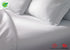 Imported Twin Fitted Sheet - 39"75"X9" - White - T-200