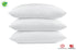 Premium Plush Pillow - Fiber Filled Bed Pillows -Cotton Blend Pillows for Sleeping - Fluffy and Soft Pillows-100% Cluster Fiber - Queen Size Pillow (20" X 30")